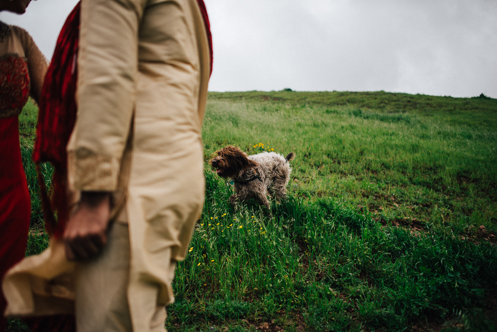 160312-RussLevi_NandiniShyam-400