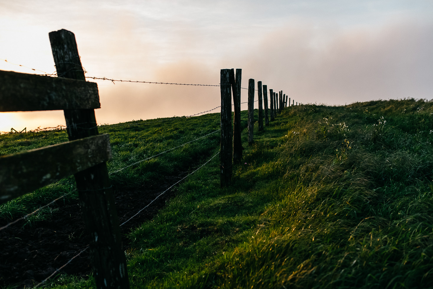 RussLevi_EriJason-1370