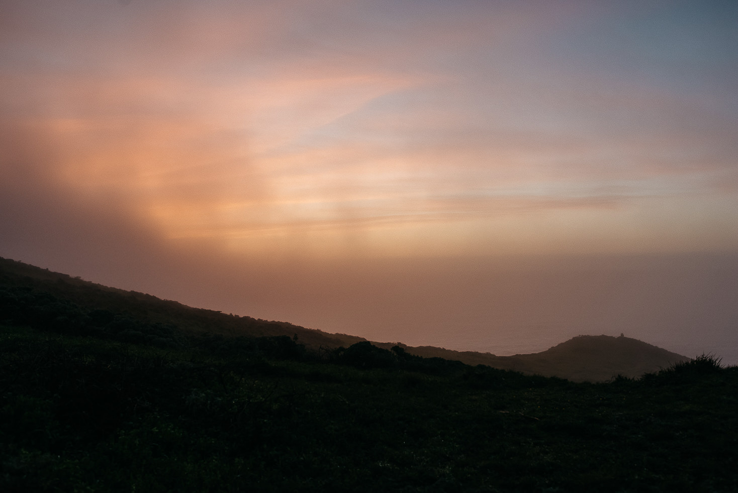 RussLevi_EriJason-1640