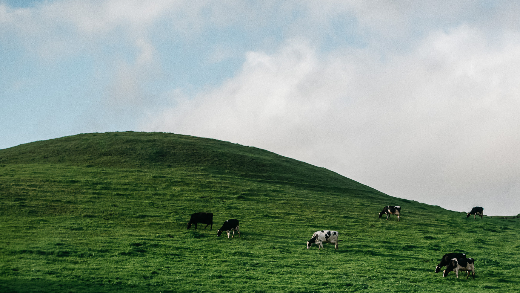 RussLevi_EriJason-822