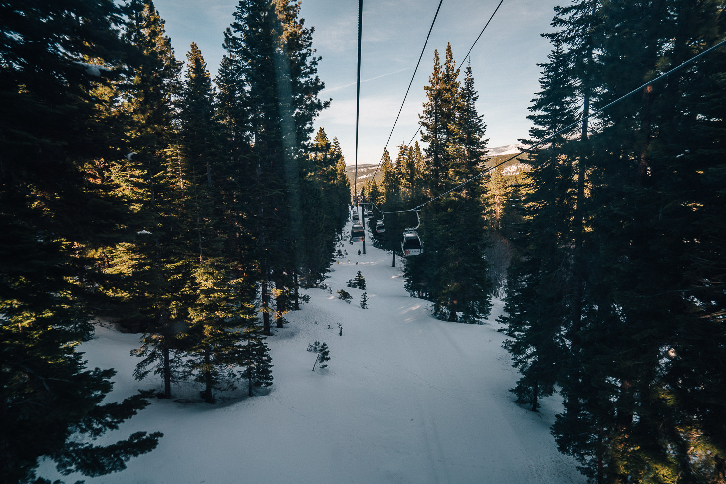 RussLevi_LindsayNickolai35